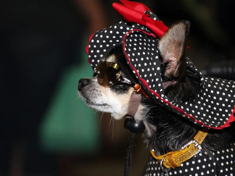 挽回男友的方法：跟男友分手后想要复合该怎么做？