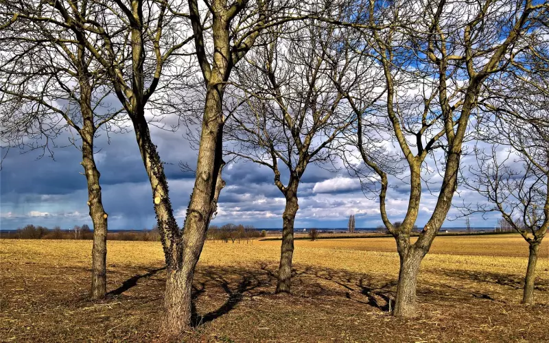 如何挽回男友：和男友分手了能挽回回来吗