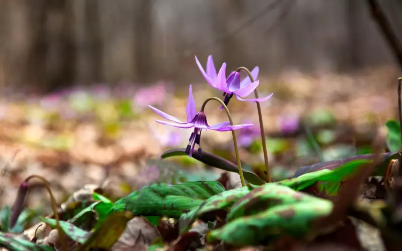 做错事要如何才能挽回男友