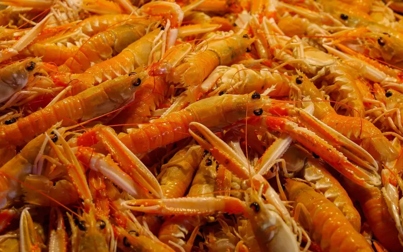 怎样挽回巨蟹座的前任？独家挽蟹秘法，让你打赢保卫爱情大作战！