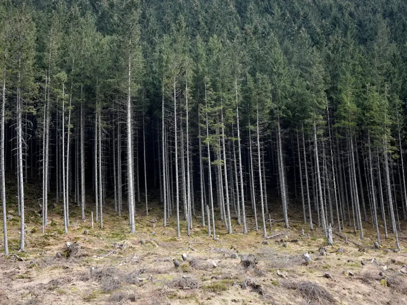 到底该如何挽回前任