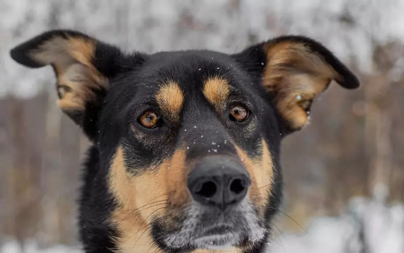 如何通过发朋友圈挽回前任？