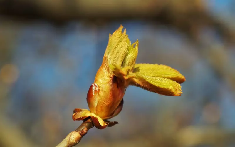 前男友喝醉失恋了怎么挽回？5个专家建议帮你重修旧好