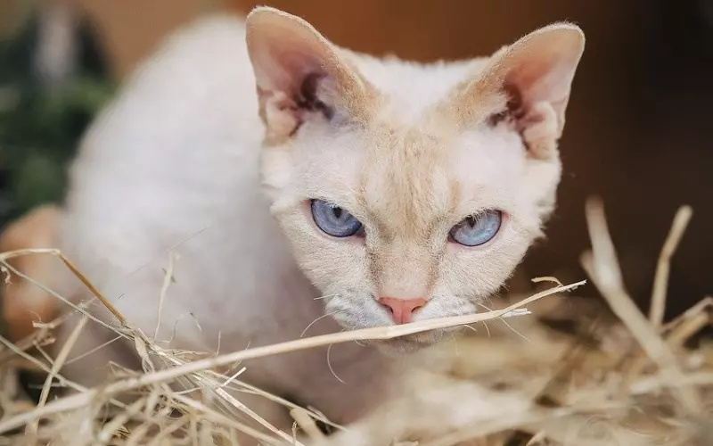 如何挽回前男友！挽回男友的注意要点