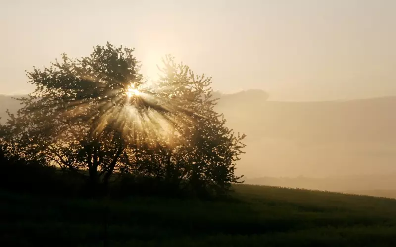 前男友有了新女友怎么挽回