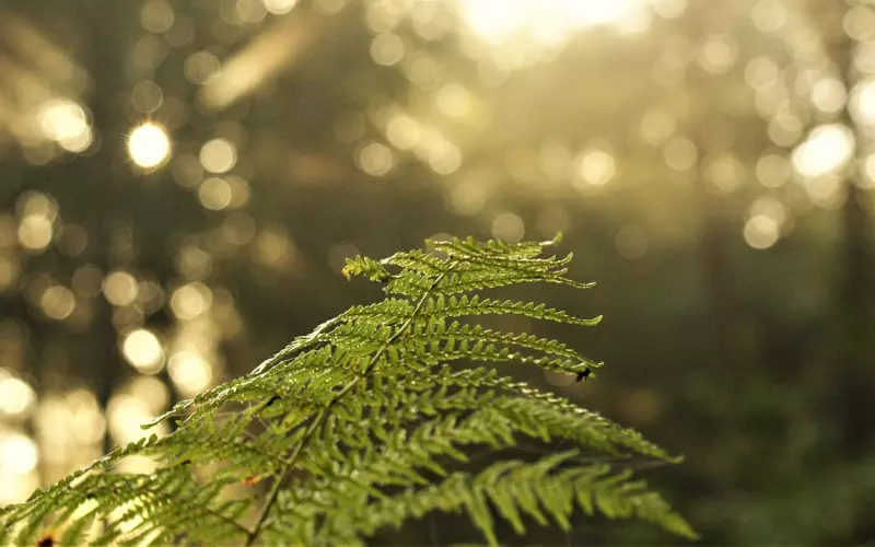 如何挽回前男友？挽回前男友不得不注意的细节