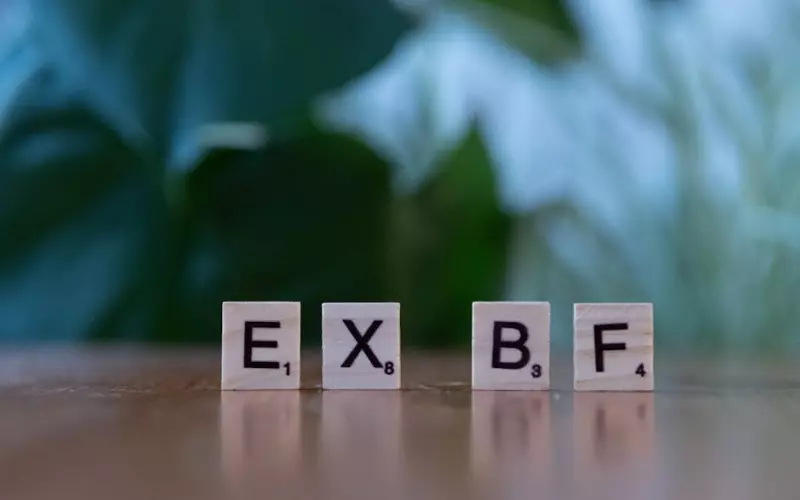 如何挽回前男友