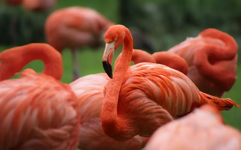 异地挽回前男友的方法