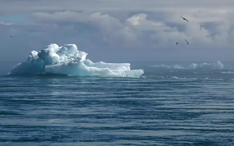 怎么让前男友主动复合？你需要改变