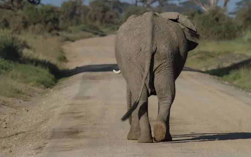 如何挽回前女友？五大高效方法助你挽回