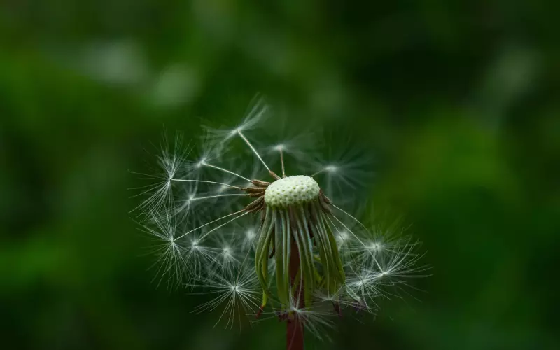 如何能够高效率地挽回前女友
