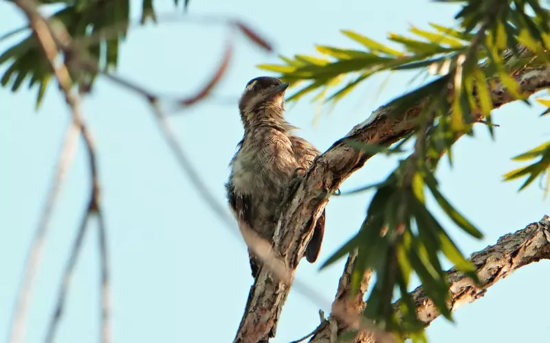 怎么挽回女友？分手后有新欢了？3个步骤挽回他！