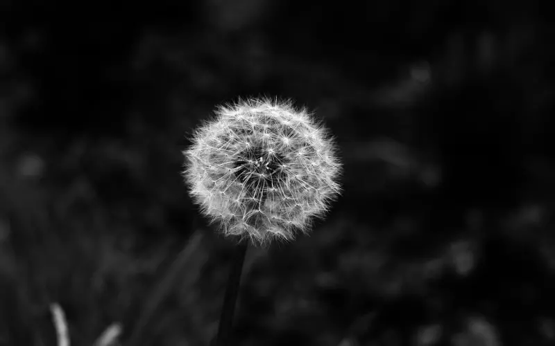 如何挽回高价值的前女友 挽回女朋友技巧