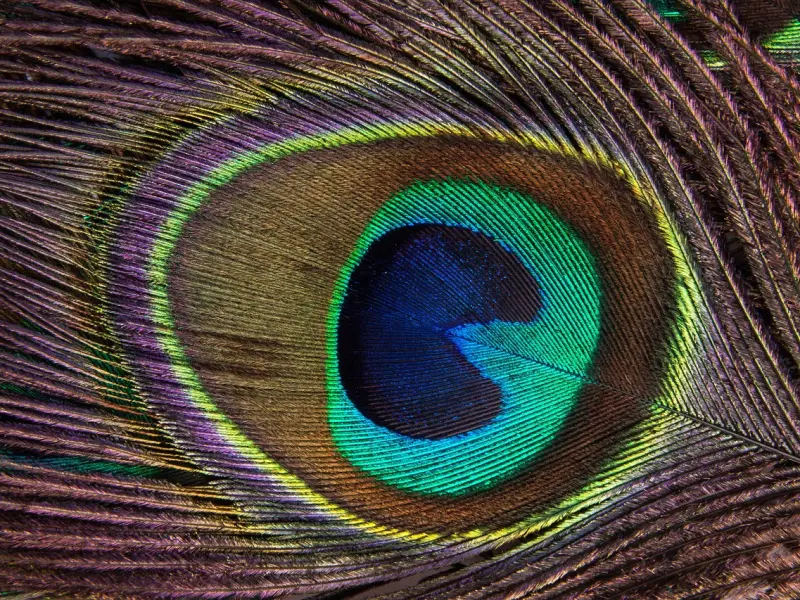 如何挽回失去的男友?高几率挽回巨蟹座绝招