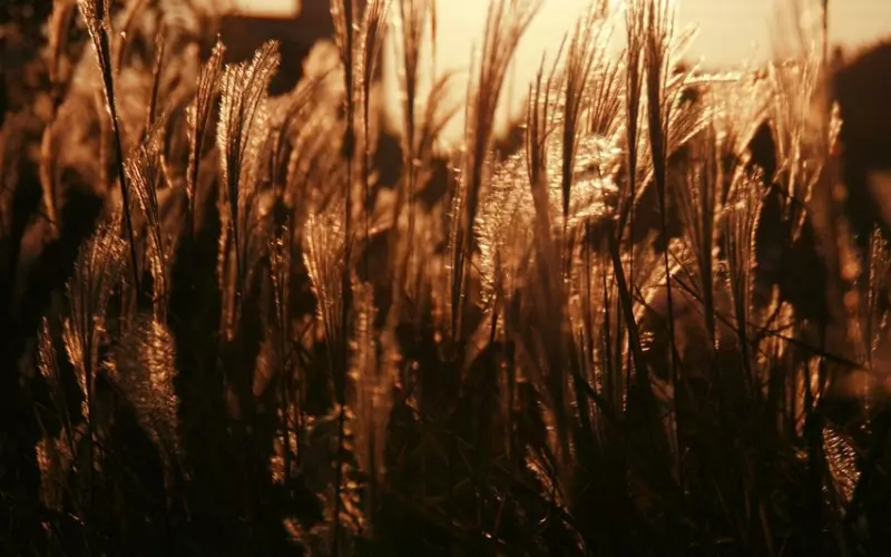 如何挽回失去的男友之挽回白羊男友