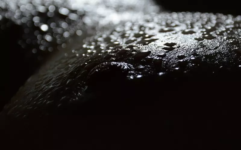 如何通过合理化行为挽回爱人