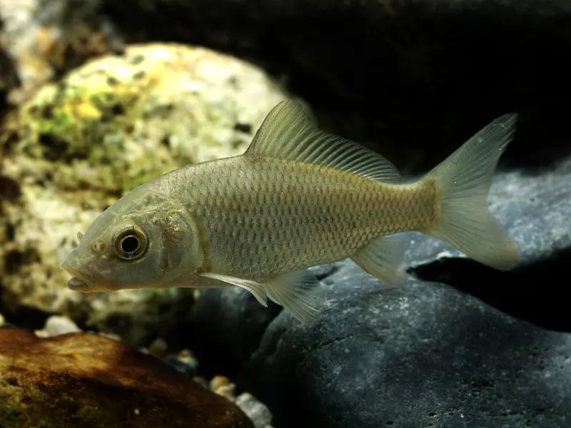 怎样才能让你的双鱼座男友回心转意？