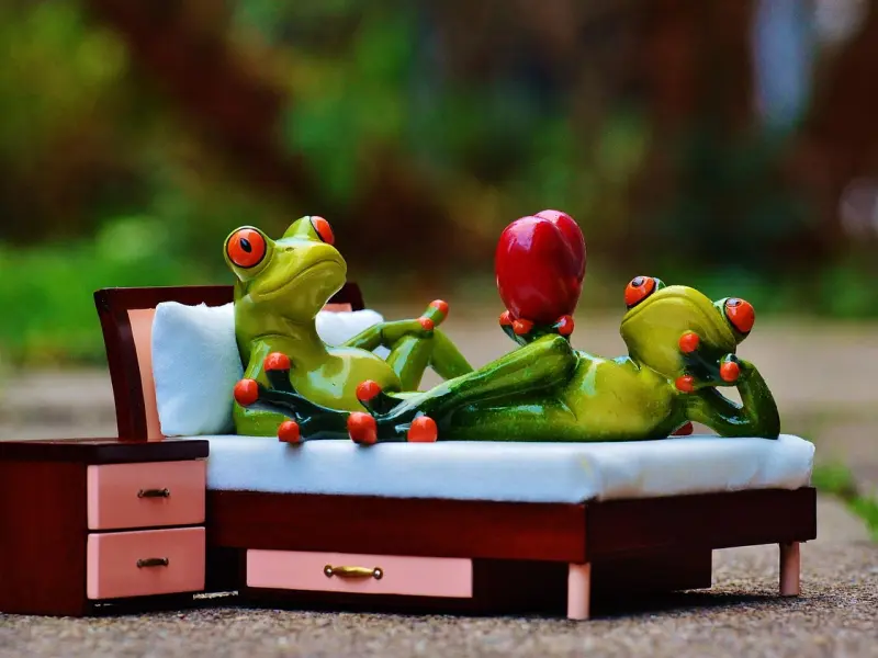 拜年如何送礼才能赢得TA父母的心，七大招使你恋爱更顺利