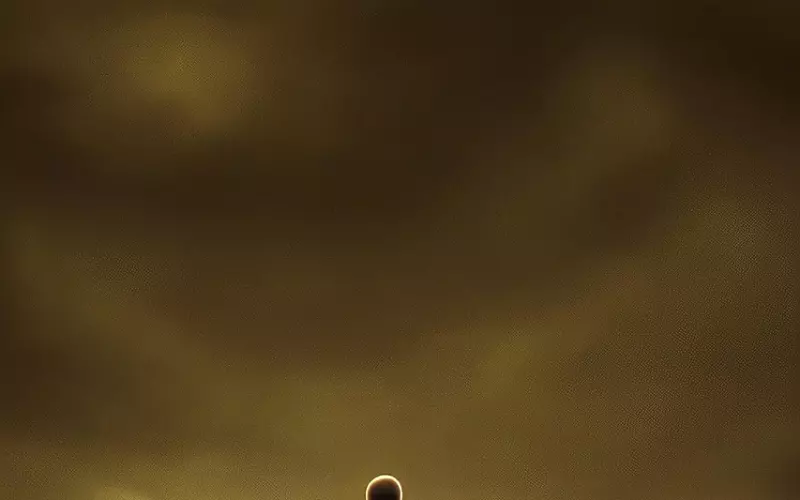 如何谈一场高质量的恋爱