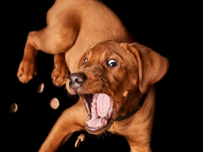 如何把他的心抓的牢牢的！