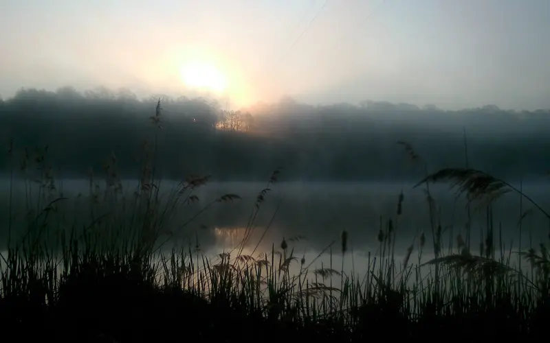 如何在恋爱早期识别渣男