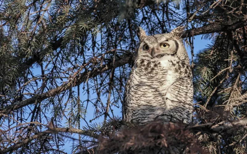 如何通过星座识别富婆？睁大眼睛抱大腿喽！