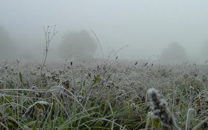 ?如何在恋爱早期识别渣男❌