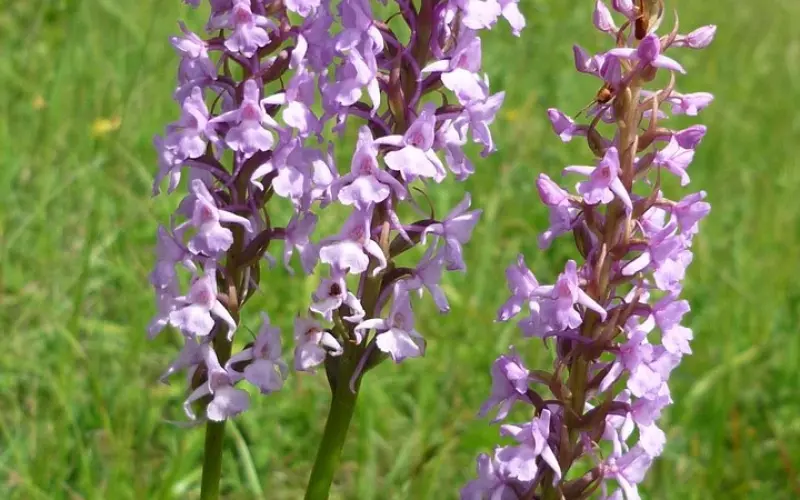 怎么提升女人吸引力，更受男人欢迎？