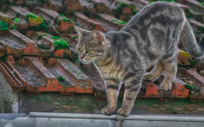 如何邀约，让约会更耐人寻味