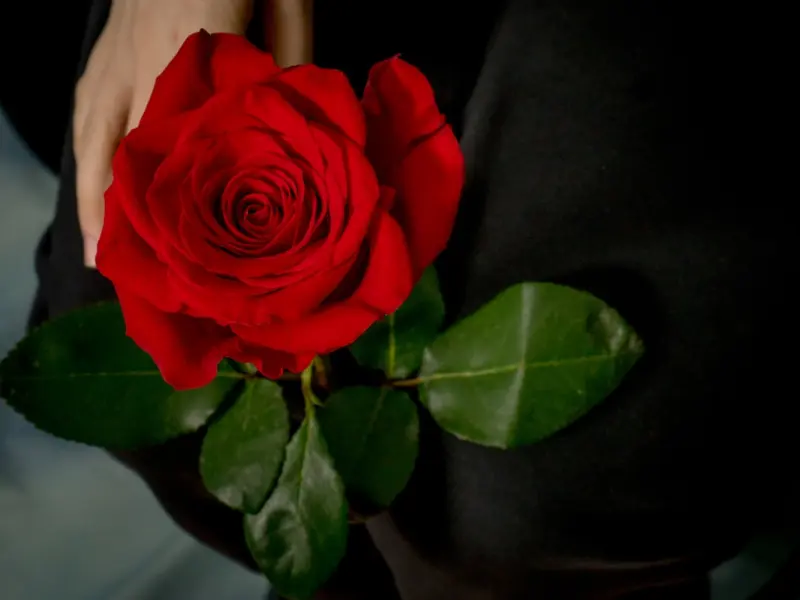 怎么判断一段感情值不值得挽回？