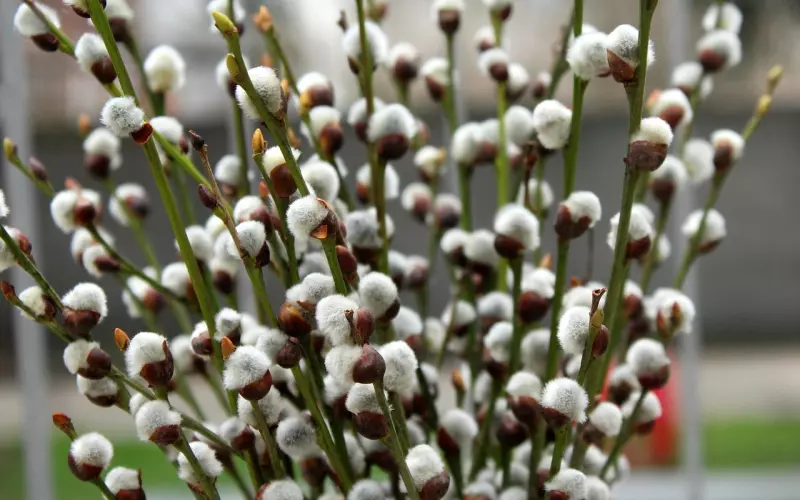 怎样根据前男友行为判断挽回希望