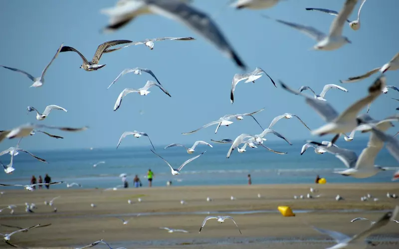 如何挽留回避型男友 我该主动吗