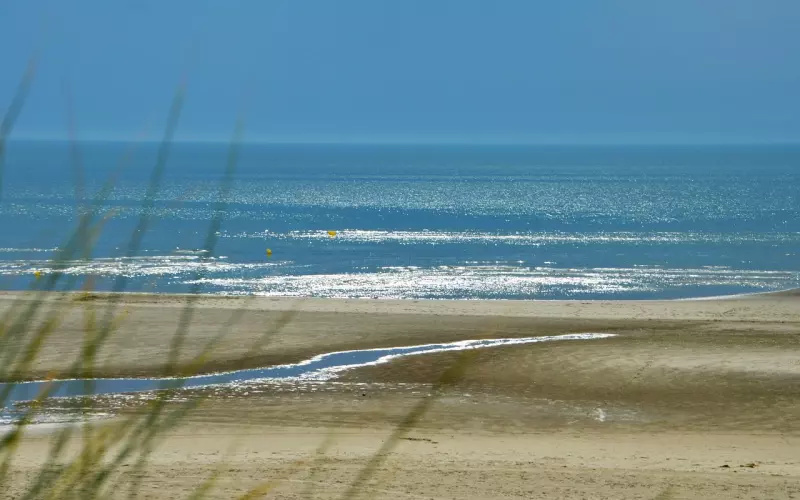 如何挽留回避型男友 我该主动吗