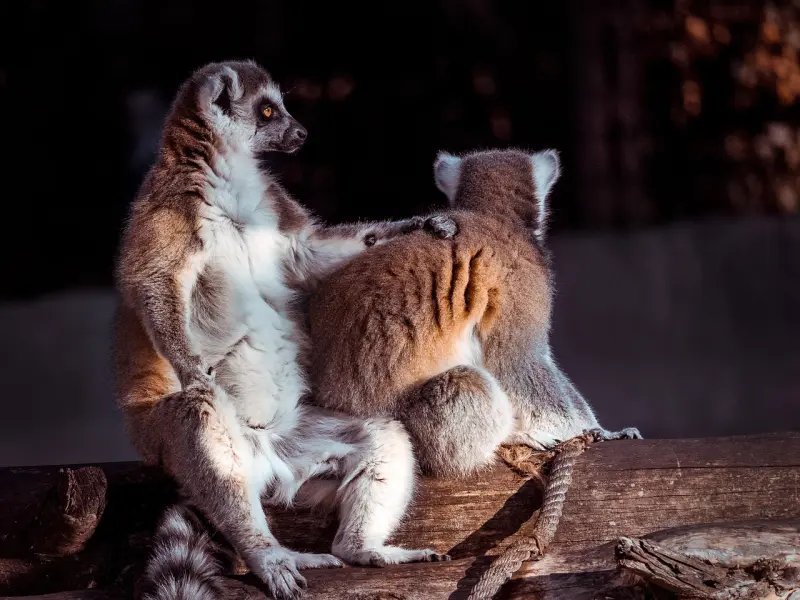 怎么挽留男朋友，你先不要被洗脑