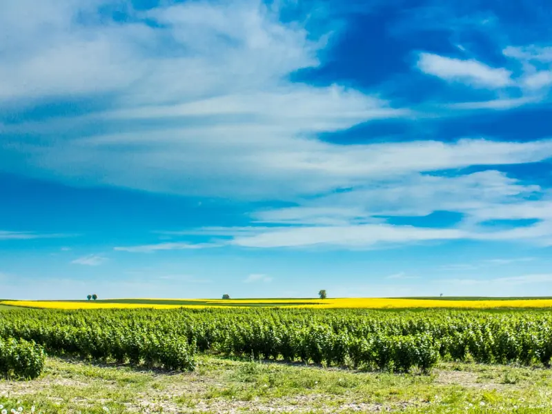 如何与不理解自己的父母和谐相处？