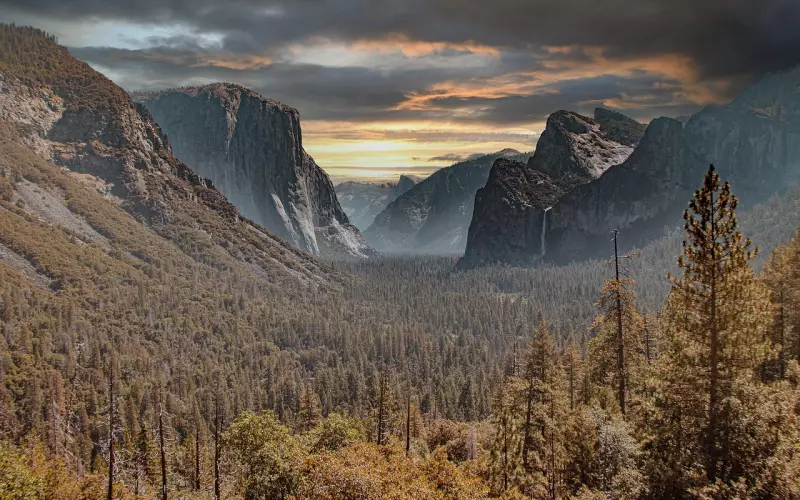 如何维持好异地恋：距离真能让爱产生美