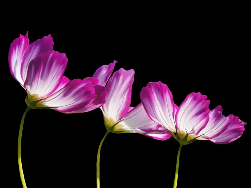 异地恋怎么维持，三招保鲜秘诀让你们想要分手都难