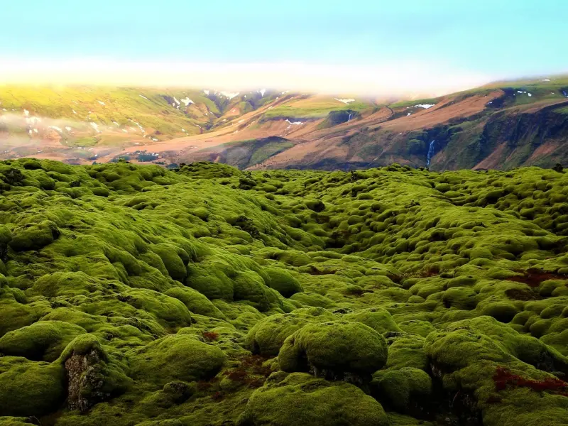异地恋怎么维持，掌握这五招让你们永不分手