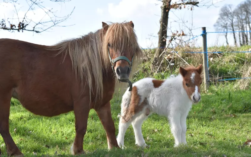 异地恋怎么维持感情 要维持与她的感情你得这么聊