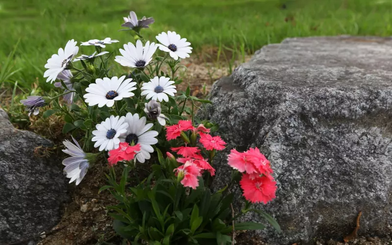 异地恋怎么去维护你们之间的感情呢？