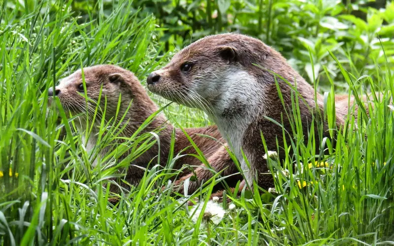 异地恋该怎么样维护好你们的爱情！