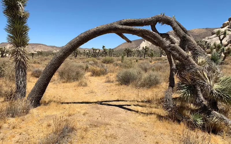 挽回爱情之如何进行合理邀约