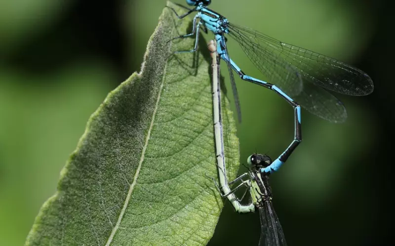 如何让他对你再一次有感