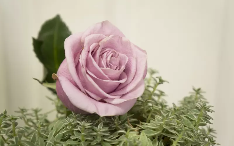 如何让对方重新找回爱你的感觉