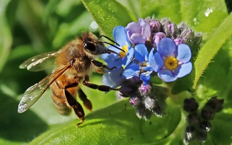 如何让男友彻底忘了前女友