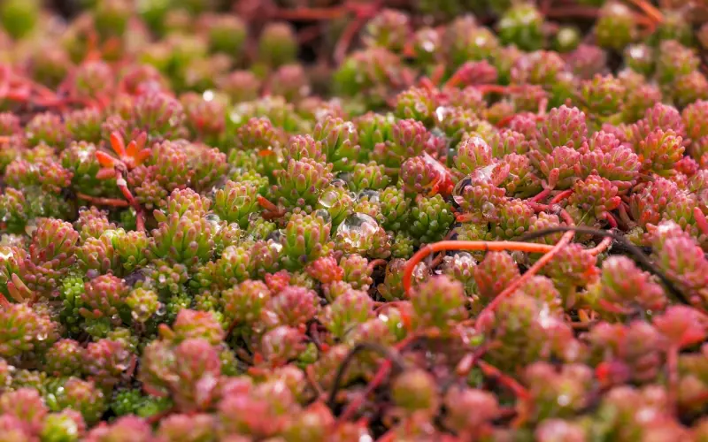 让前男友死心塌地求复合的方法，只需要3招哦！