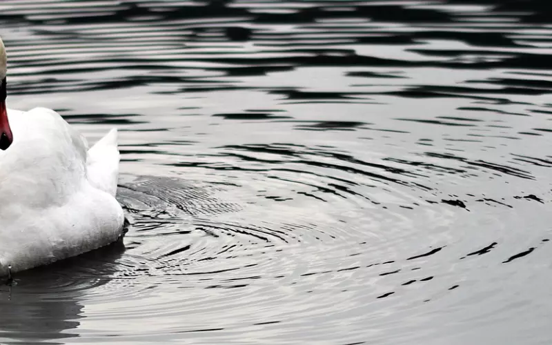 男朋友提出分手，怎样让前男友感到后悔？