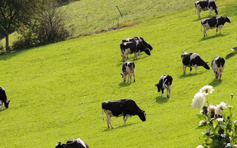 再次让前男友爱上自己的方法