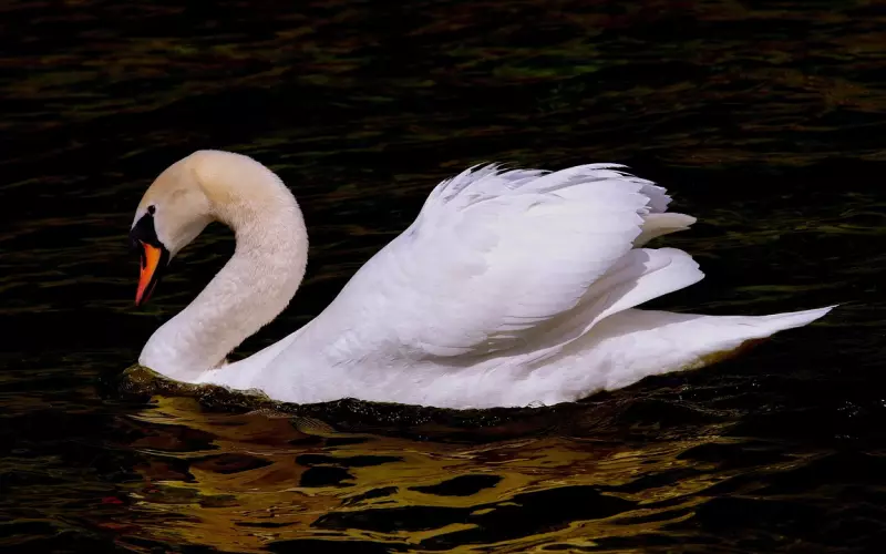 男朋友提出分手，怎样让前男友感到后悔？