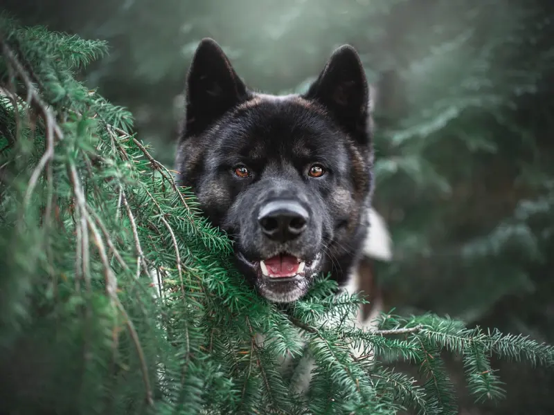 分手后怎样让前男友对你念念不忘
